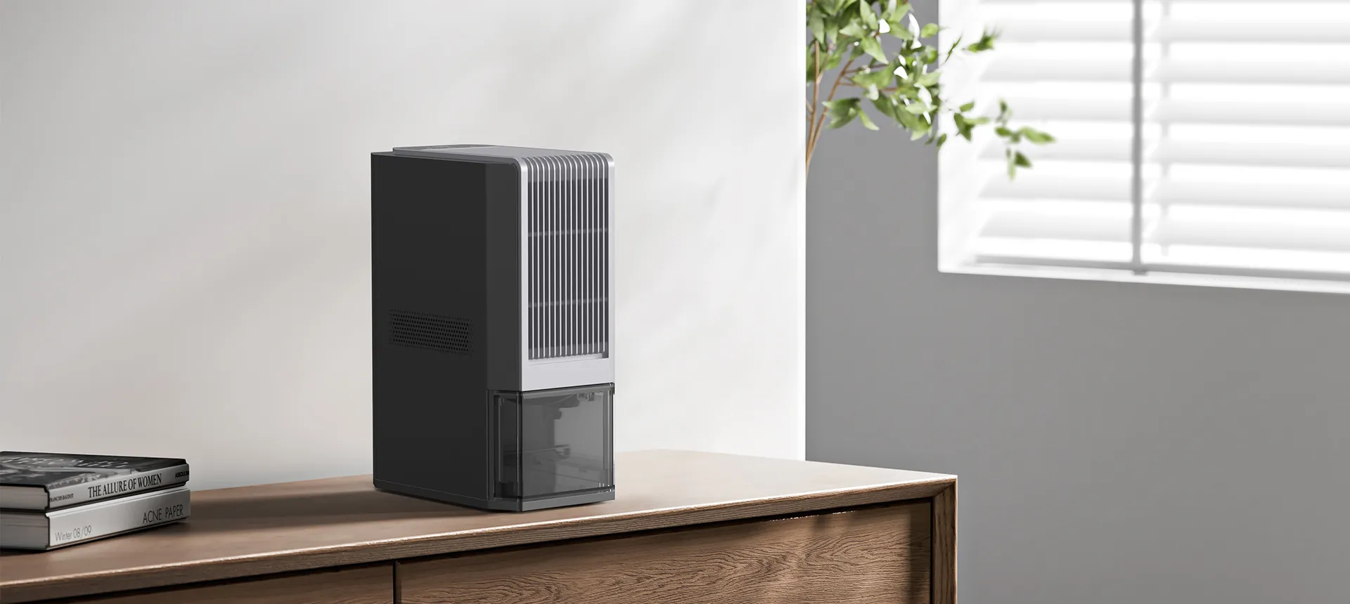 What Issues Can High Indoor Humidity Cause?